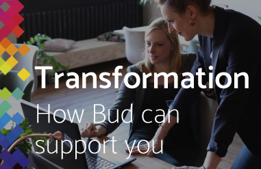 Bud-support-with-digital-transformation