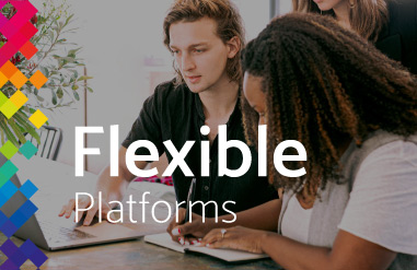 Why-flexible-platforms-allow-mistakes
